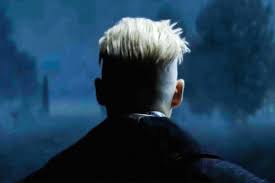 Check spelling or type a new query. Has Fantastic Beasts Been A Voldemort Origin Story All Along Vanity Fair