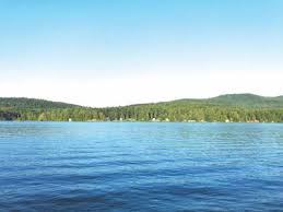 Native plants replace milfoil in Lake Iroquois