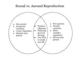 Venn Diagram Of Asexual And Sexual Reproduction Resume