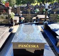 Brown Granite Tombstone Black Granite Monument with Cheep Price