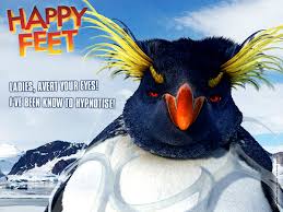 The foolish man seeks happiness in the distance, the wise grows it under his feet. Funny Happy Feet Pictures Funny Lover