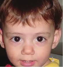 Bethany Social Services