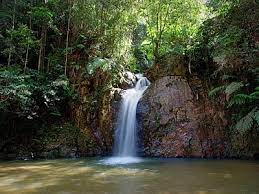 Discover the best of bukit fraser so you can plan your trip right. The 10 Best Things To Do In Bukit Fraser 2021 With Photos Tripadvisor