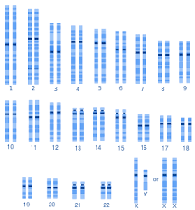 While you can search books, browse through the collection and even upload new. Genetic Diversity Wikipedia