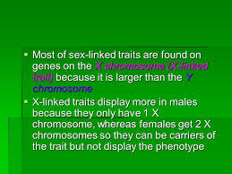 Children who do not have the trait will generally not pass the disease on to their children. Chapter 12 Patterns Of Heredity And Human Genetics Ppt Video Online Download