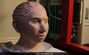 Modern papuans from new guinea have dna from two denisovan groups distinct from the altai denisovan dna of modern east asians, suggesting two earlier interbreeding events. Denisovans A Mysterious Human Ancestor Gets A Face And A Body