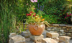 Image result for ostruhatka