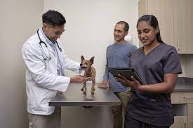 After hours animal clinic tampa, fl 33601. Petco Veterinary Services Quality Care For Your Pet Petco