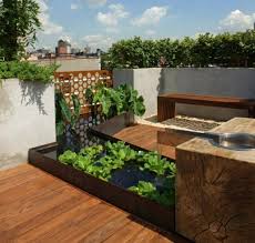 Balkon Ideen Selber Machen Ein Mini Teich Im Topf Balkon Ideen Garten Ideen Gartenlichter Paletten Ideen In 2020 Miniteich Indoor Wassergarten Gartendekoration