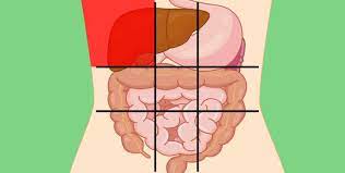 Both do side bending to the same side, but the external oblique on the left rotates the trunk/spine to the right, whereas the hip flexors are strong, powerful muscles that can overtake the abdominal muscles in some ab exercises. Doctors Share A Belly Map That Reveals What Can Make Your Stomach Hurt