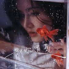 祝你遇到- Song by Weiyi Wang