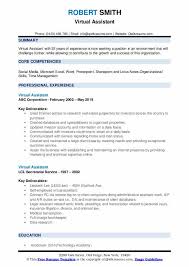 The modern templates are paying more attention to writing the employment application concisely. Virtual Assistant Resume Samples Qwikresume