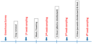 Integrated pest management in commercial greenhouses: Agronomy Free Full Text Preliminary Study On The Control Of Cucumber Green Mottle Mosaic Virus In Commercial Greenhouses Using Agricultural Disinfectants And Resistant Cucumber Varieties Html