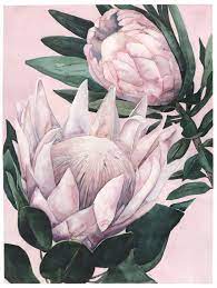 Pin By Chen Nika On 1 Archived Pieces Parts Protea Art Flower Art Flower Painting