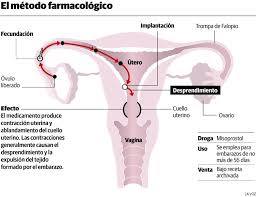 Como Actua El Misoprostol La Droga Recomendada Para Provocar Abortos Ciudadanos La Voz Del Interior