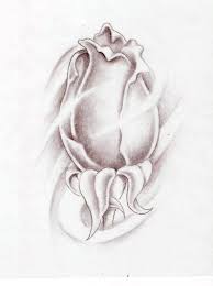 Rose Bud By Markfellows On Deviantart Rose Bud Tattoo Roses Drawing Flower Drawing