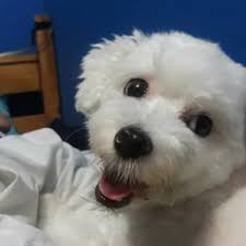 Marcos Holguin (@marcos_sk9) • Instagram photos and videos