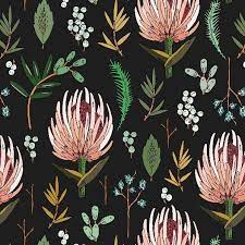 Today S Drawing Floral Study With The Protea Flower Boho Bohemian Jungalowstyle Art Fabric Hollizol Prints Botanical Illustration Botanical Flowers