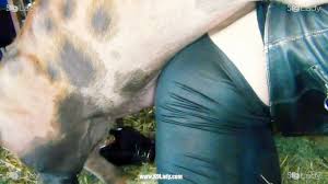 Yasmin Twisted Perfection - Sexo con Animales - Portalzoo