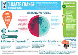 Get started on your advocacy with this green climate change infographic template. Infographic Climate Change In The Coral Triangle Wwf