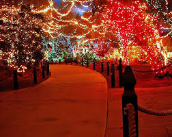 Directions to ethel m chocolate factory las vegas. Christmas At The Cactus Gardens Outdoor Christmas Lights Magical Christmas Christmas Lights