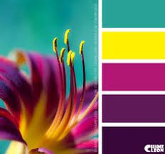 50 Adobe Color Ideas Color Pallets Colour Schemes Colour Pallette