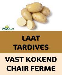 Victoria 28/35 - Koop Bloembollen voor een bloeiende toekomst
