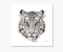 Easy techniques for drawing people, animals and more. Tiger Realistic Pencil Drawing Of Wildlife Animal Art Print Etsy Realistic Animal Drawings Realistic Drawings Tiger Art