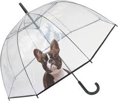 Umbrella Bella Cute Dog Dome Cute Dogs Cat Design Umbrella