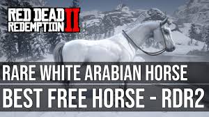 Maybe you would like to learn more about one of these? Best Free Horse White Arabian Horse Red Dead Redemption 2 Youtube