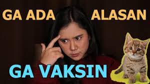 Berapa harga vaksinasi influenza ? Biaya Vaksin Kucing Berikan Terbaik Untuk Kucing Anda