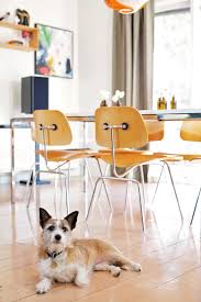 Mariana Mark S Artistic Melbourne Home Melbourne House Animal Room Pet Home