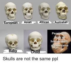 All Humans Skulls Are The Same Really Funny Memes Stupid Funny Memes Funny Relatable Memes