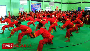 Power tungkai pesilat tapak suci remaja kabupaten klaten; 314 Pesilat Cilik Purbalingga Ikut Musixga Championship Times Indonesia
