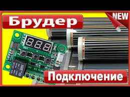 как вырастить цыпленка из яйца в домашних условиях без инкубатора Pravilnyj Bruder Osnovnye Nyuansy I Parametry Pri Ego Izgotovlenii Svoimi Rukami Pticevodstvo Youtube Perepela Pticevodstvo Domashnie Pticy
