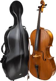 There are a lot of different types of violins and a ton of different features to look for, so we've tried to include a wide selection of those features on the list of our best rated violins. Wslirisxnmei9m