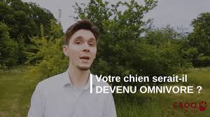 Les distinguer n'est certainement pas si facile, c'est la raison pour laquelle j'ai décidé de leur consacrer une rubrique, d'autant plus que ce sont des oiseaux (en tout cas une partie d'entre eux) que tout le monde a déjà rencontrés. Viande Pour Chien Legumes Votre Compagnon Serait Il Devenu Omnivore