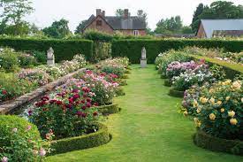 David Austin Renaissance Garden Renaissance Gardens Cottage Garden Garden