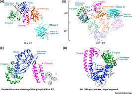 Хэрвээ та хуучин интернэт банкийг хэрэглэх эсвэл байгууллагын харилцагч бол энд дарна уу. Reverse Transcriptase From Transcriptomics To Genome Editing Trends In Biotechnology