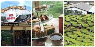 Yz agro farm (kebun strawberry & kafe). Facebook