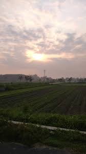 5o lukisan dan gambar pemandangan alam yang sangat. Masih Di Pagi Hari Yang Penuh Dengan Tanda Tanya Foto Alam Fotografi Alam Pemandangan