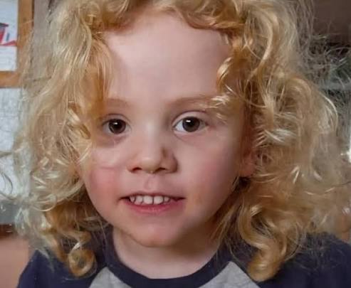 Little Gus has spent 6 days alone away from his family, my heart breaks for his parents. the ADF have now joined the search as well as countless law enforcement and emergency