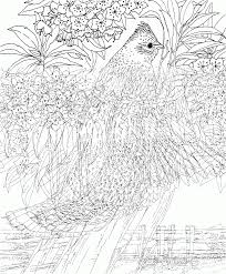 Choose from our diverse categories like cartoon coloring pages, disney coloring pages to animal coloring sheets, everything your kids want to colour you will find it here for free! Exercise Challenging Coloring Pages 1328 Free Printable Coloring Coloring Home