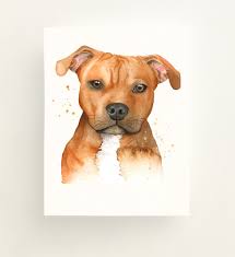 Pets Illustrated Allison Langton Portfolio Pitbull Art Animals Artwork Dog Drawing