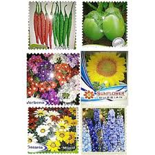These indoor herb garden planters will look killer in your kitchen and keep your meals tasting fresh all year long. Buy Seeds Kitchen Or Terrace Garden Plants 4 Flower 2 Vegetable Online Get 48 Off