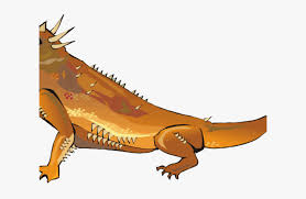 Transparent Iguana Clipart Desert Iguana Cartoon Hd Png Download Transparent Png Image Pngitem Affordable and search from millions of royalty free images, photos and vectors. desert iguana cartoon hd png download