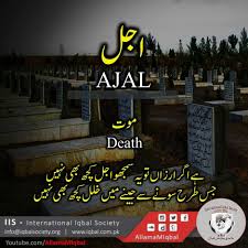 Pin On Urdu Persian Arabic Word Meaning