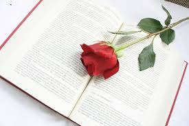 Gambar bunga cantik di buku gambar. Rose Bunga Buku Foto Gratis Di Pixabay