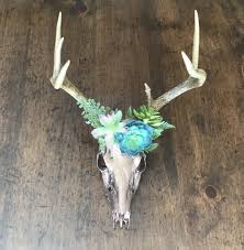 Painted Deer Skull With Succulents Deer Skull Decor Painted Deer Skulls Deer Skull Art