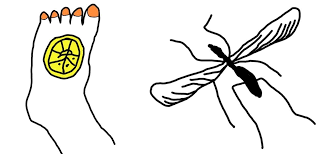 Mosquito bites can be annoying and distracting, but there are several ways to treat them. 9 Diy Home Remedies For Relieving Itchy Mosquito Bites The Secret Yumiverse Wonderhowto